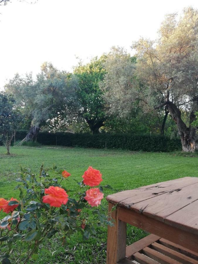 La Casa Di Caterina: Nature,Relax And Private Garden Лефкада Екстериор снимка